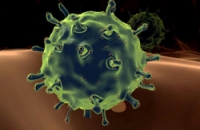 В сегодняшнем эпидемиологическом сезоне по гриппу предполагается циркуляция двух новых штаммов вируса