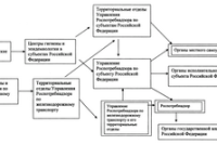 Неинфекционные заболевания (НИЗ) — основная угроза здоровью и развитию человека