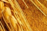 Зерновые продукты оздоравливают сердце Зерновые продукты оздоравливают сердце
