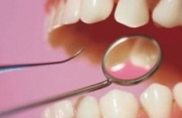 Найдены рациональные условия для выращивания зубов из стволовых клеток зубного зачатка