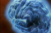 3 Степени тяжести сотрясения головного мозга