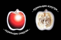 Бросив курить, контролируйте вес Бросив курить, контролируйте вес