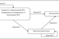 Современные подходы к лечению хронической почечной недостаточности Современные подходы к лечению хронической почечной недостаточности