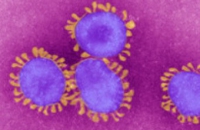 Число подхвативших новый коронавирус достигло десяти