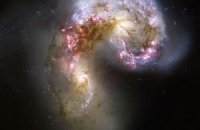 «Галактика» микрокосмоса