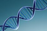 Быстрое исследование ДНК вскоре может стать банальной медицинской процедурой