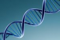 Быстрое исследование ДНК вскоре может стать банальной медицинской процедурой
