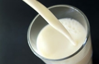 Жир в молочных продуктах связан с риском инсульта
