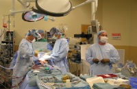 В Австралии впервые проведена операция по пересадке искусственного сердца