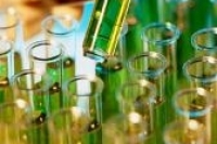 Почечную дефицитность у диабетиков с хронической болезнью почек сулодексид не предотвращает Почечную дефицитность у диабетиков с хронической болезнью почек сулодексид не предотвращает