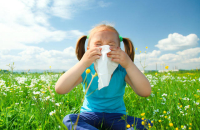 Болезни носа и уха – аллергический насморк, вазомоторный ринит и острый средний отит