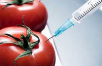 Почему не стоит есть ГМО?